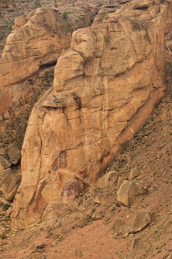 The Different Faces Of Smith Rock - 3 Photograph by Hany J