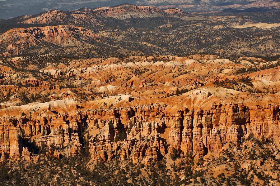 The Different Layers Of Bryce - 1 Photograph by Hany J