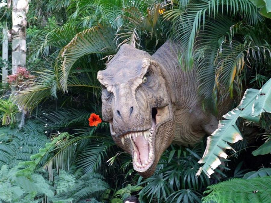 Dinosaur Photograph - The Dinosaurs Lunch by Rana Adamchick Dinosaur Photograph - The Dinosaurs Lunch by Rana Adamchick