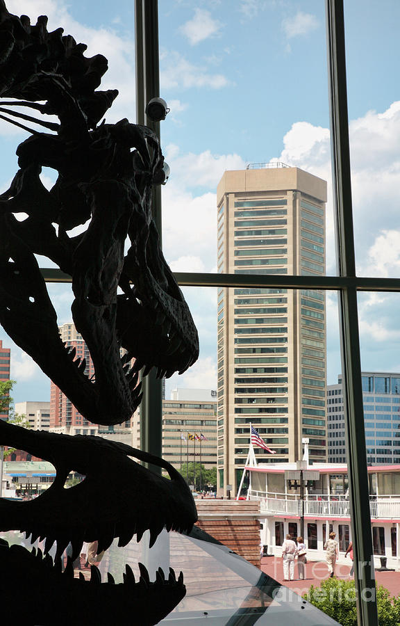 The Dinosaurs that Ate Baltimore Photograph by William Kuta