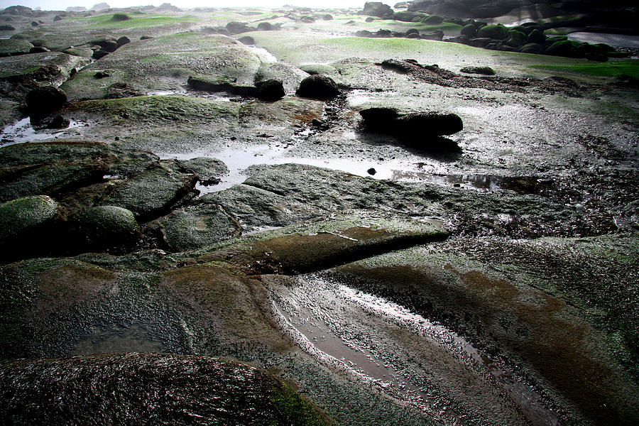 The Distance At Low Tide Photograph by Kreddible Trout