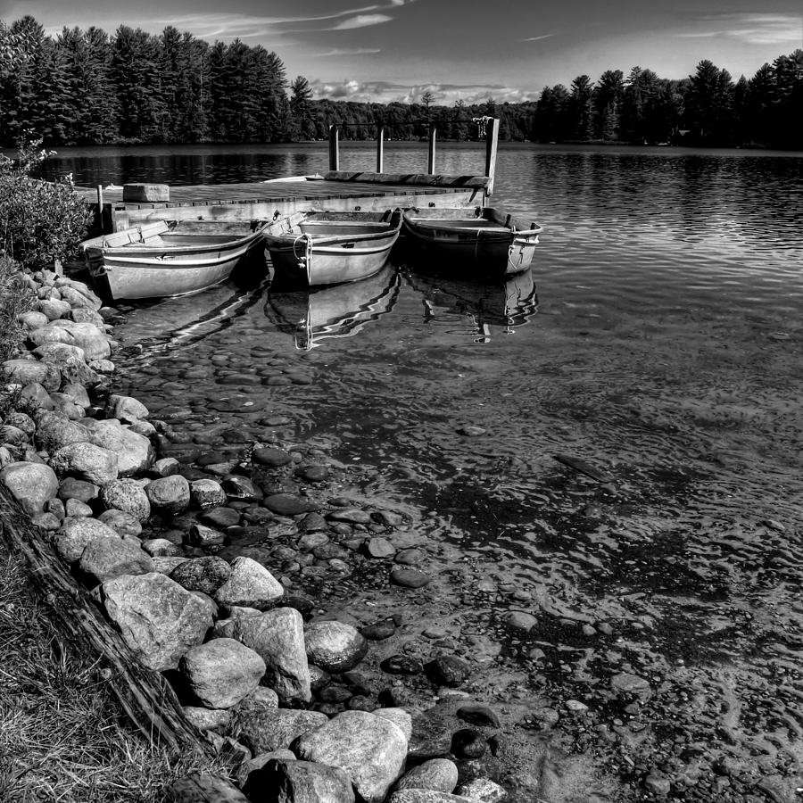 Tree Photograph - The Dock at Camp Russell by David Patterson