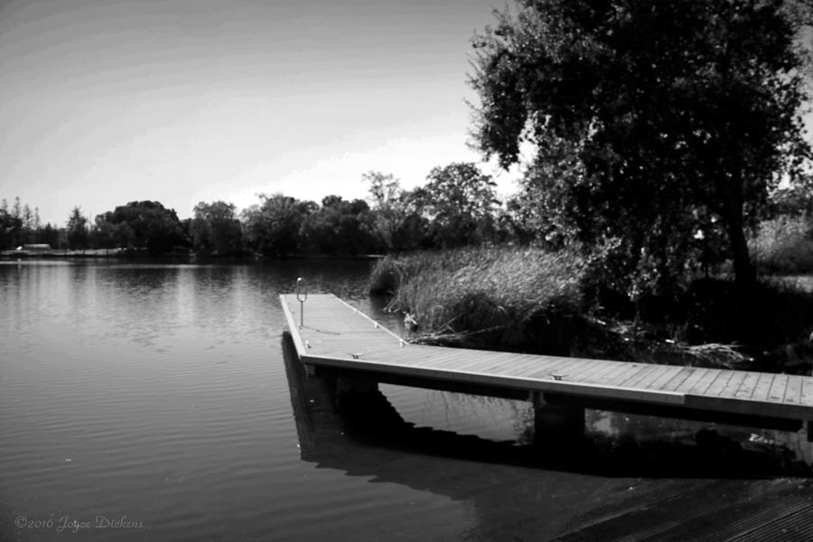 The Dock At Lodi Lake 3 B and W Photograph by Joyce Dickens