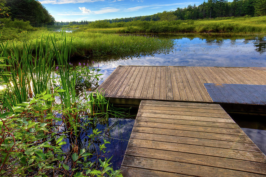 The Dock at Mountainman Photograph by David Patterson