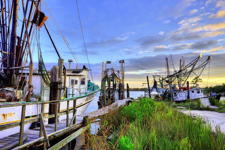 The Docks of Bon Secour Photograph by JC Findley