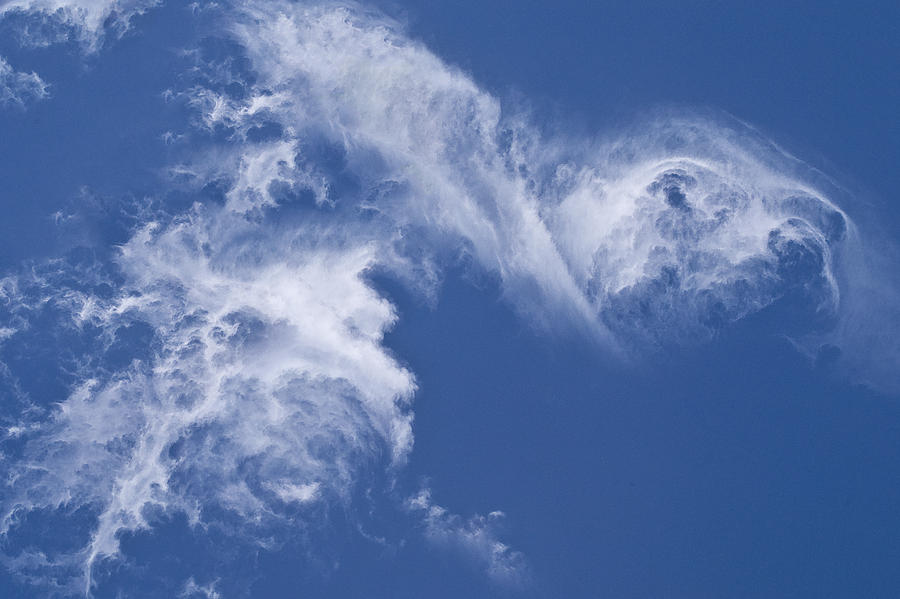 Nature Photograph - The Dog Cloud by Becky Titus