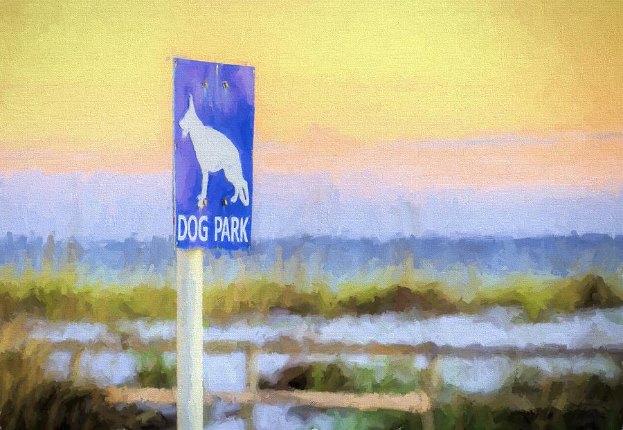 The Dog Park On Pensacola Beach Photograph by JC Findley