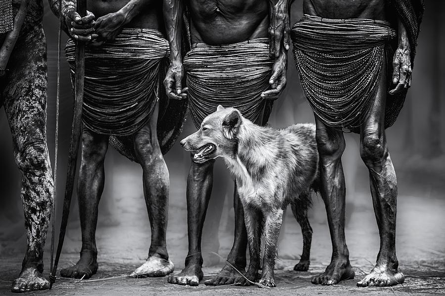 Dani Photograph - The Dog by Pavol Stranak