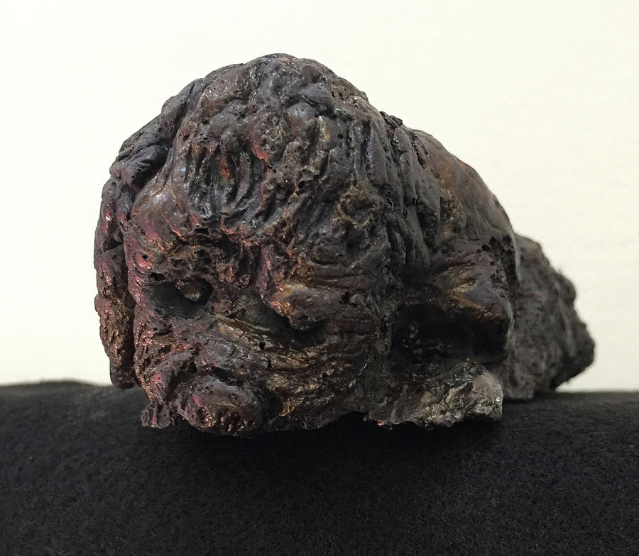 The Dog Worrier by Gail Eisenfeld The Dog Worrier by Gail Eisenfeld