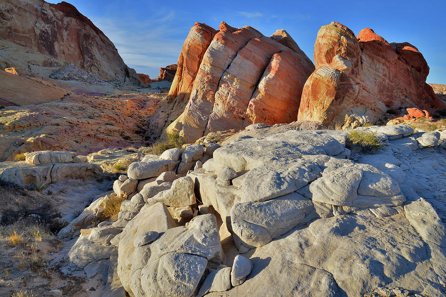 The Domes of Valley of Fire State Park Photograph by Ray Mathis