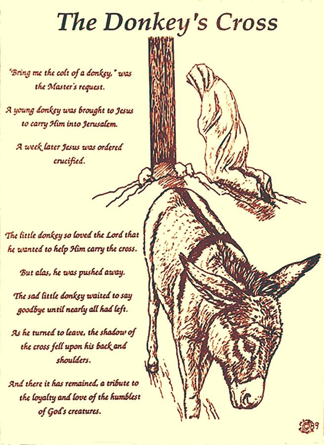 Animal Drawing - The Donkeys Cross by Mary Singer