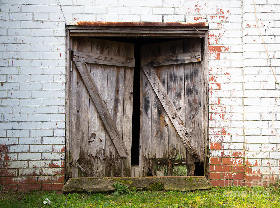 Nature Photograph - The Door by Andy Miller