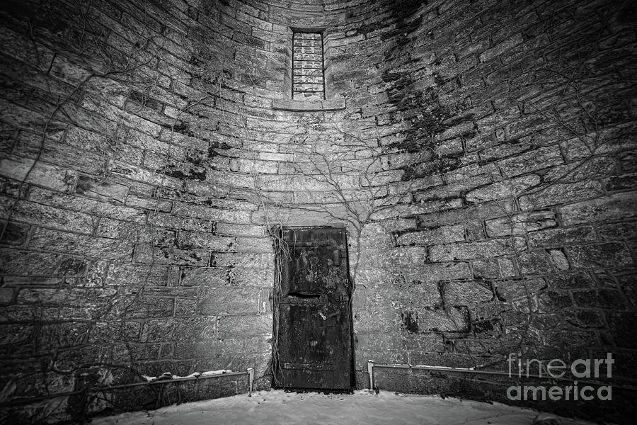 The Door BW  Photograph by Michael Ver Sprill
