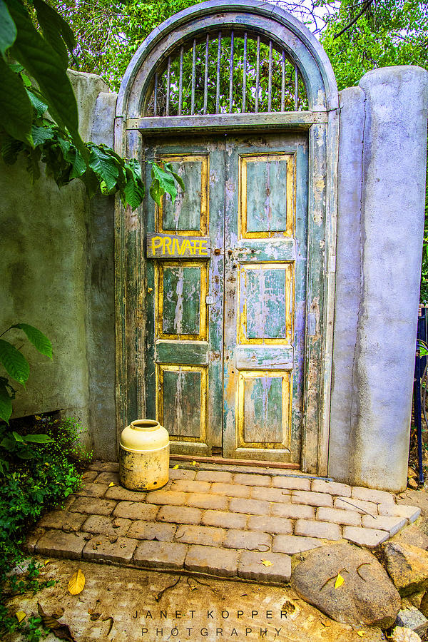 The Door  Photograph by Janet  Kopper