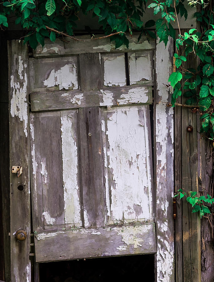 The Door Photograph by Steven Maxx