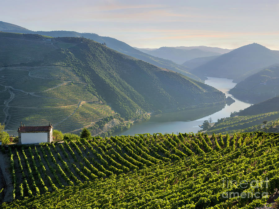 The Douro Valley Portugal Photograph by Mikehoward Photography