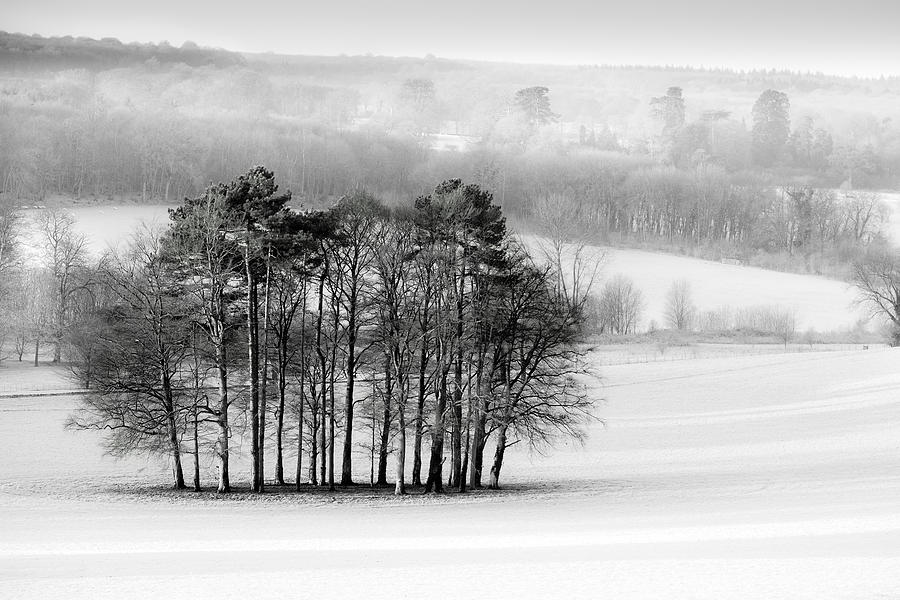 Winter Photograph - The downs in winter by Ian Hufton