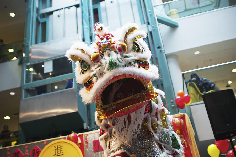 The Dragon Dance Is Performed Photograph by James MacDonald