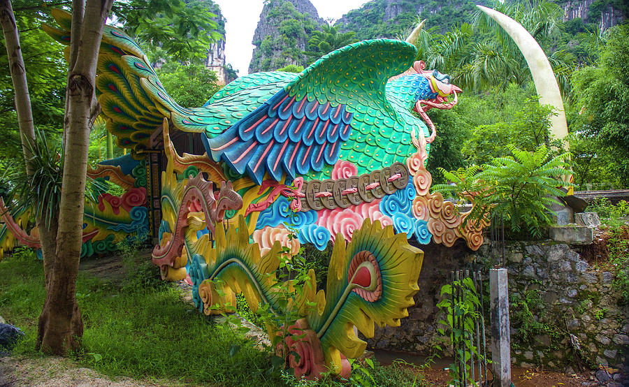  Dragon Gate, Vietnam Photograph by Venetia Featherstone-Witty