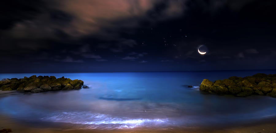 Moonrise Lagoon Photograph by Mark Andrew Thomas