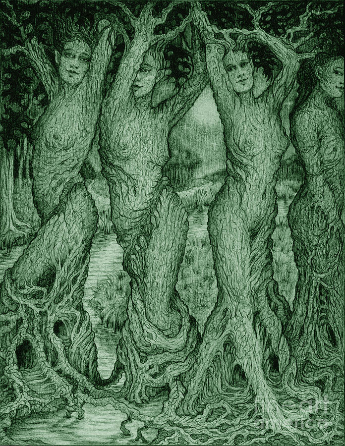 The Dryads Drawing by Debra Hitchcock