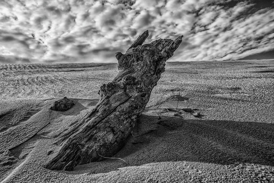 The Sleeping Bear Dunes Black and White  Photograph by John McGraw