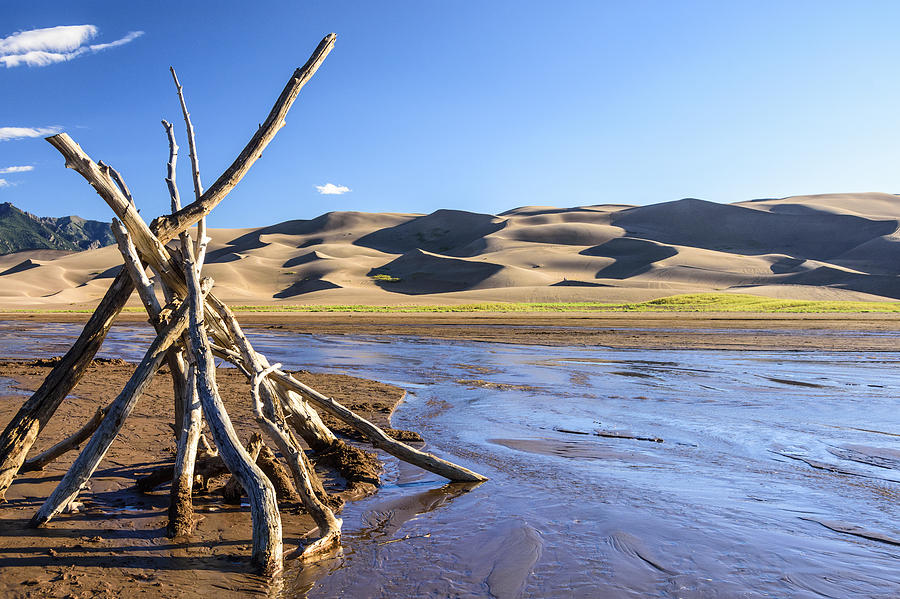 Landscape Photograph - The Dunes and Medano Creek and Logs by Betty Eich