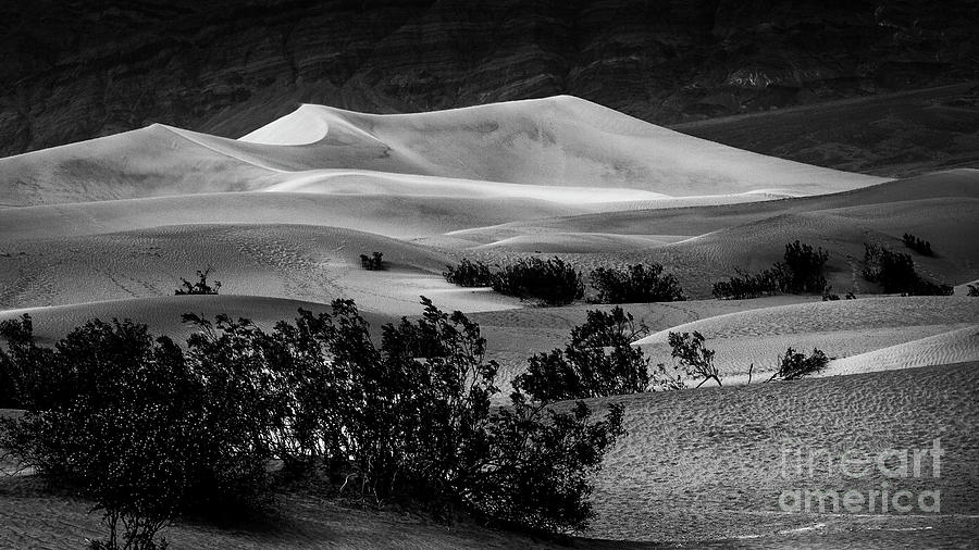 The Dunes Photograph by Hugh Walker