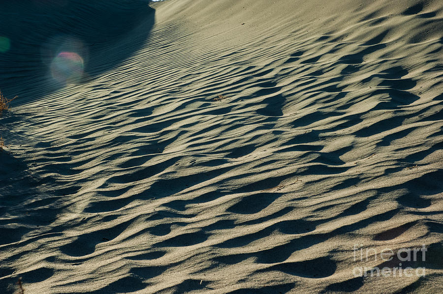 The Dunes of Death Valley 10 Photograph by Micah May