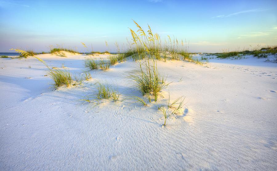 Panama City Beach Photograph - The Dunes of Shell Island by JC Findley