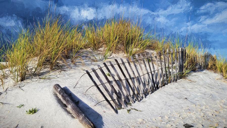Beach Photograph - The Dunes of South Walton by JC Findley