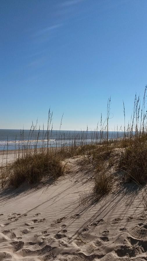 The Dunes Photograph by Teresa Palmer - Fine Art America