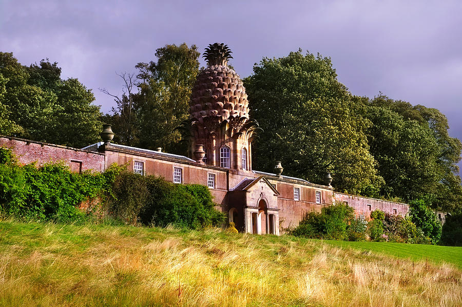 The Dunmore Pineapple Building Photograph by Jenny Rainbow