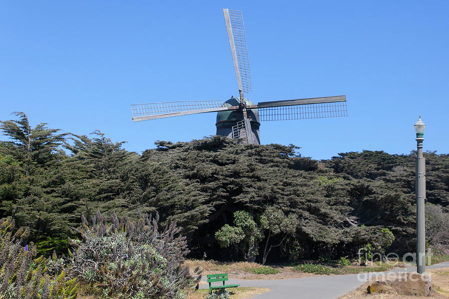 The Dutch Windmill San Francisco Golden Gate Park San Francisco California 5D3256 Photograph by Wingsdomain Art and Photography