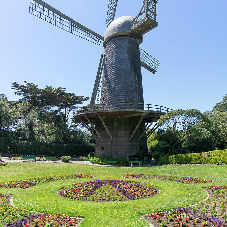 The Dutch Windmill San Francisco Golden Gate Park San Francisco California DSC6361 square Photograph by Wingsdomain Art and Photography