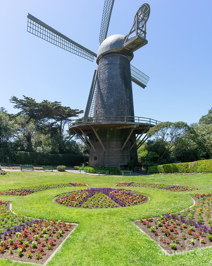 The Dutch Windmill San Francisco Golden Gate Park San Francisco California DSC6361 Photograph by Wingsdomain Art and Photography