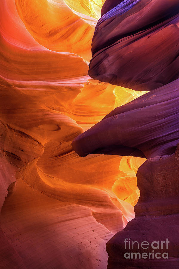 Antelope Canyon Photograph - The Eagle by Anthony Heflin