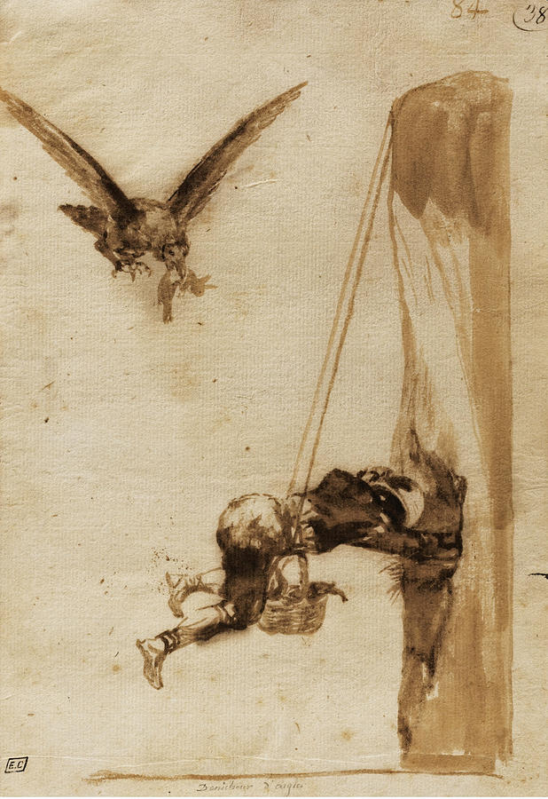 The Eagle Hunter Drawing by Francisco Goya
