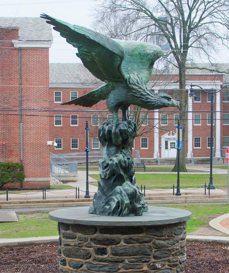 The Eagle - Widener University Photograph by Bill Cannon