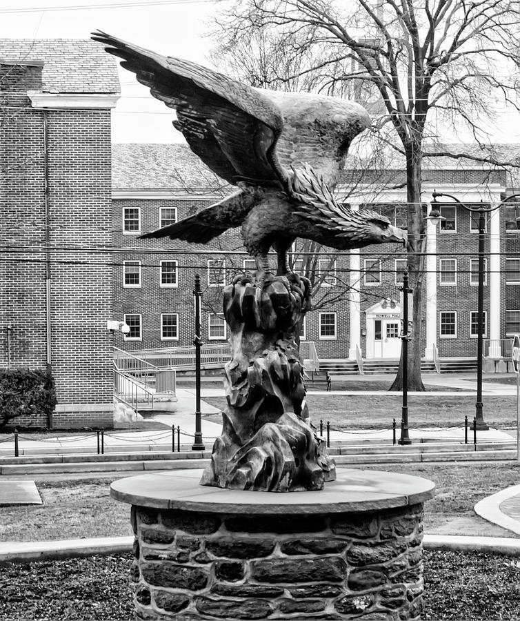 The Eagle - Widener University in Black and White Photograph by Bill Cannon