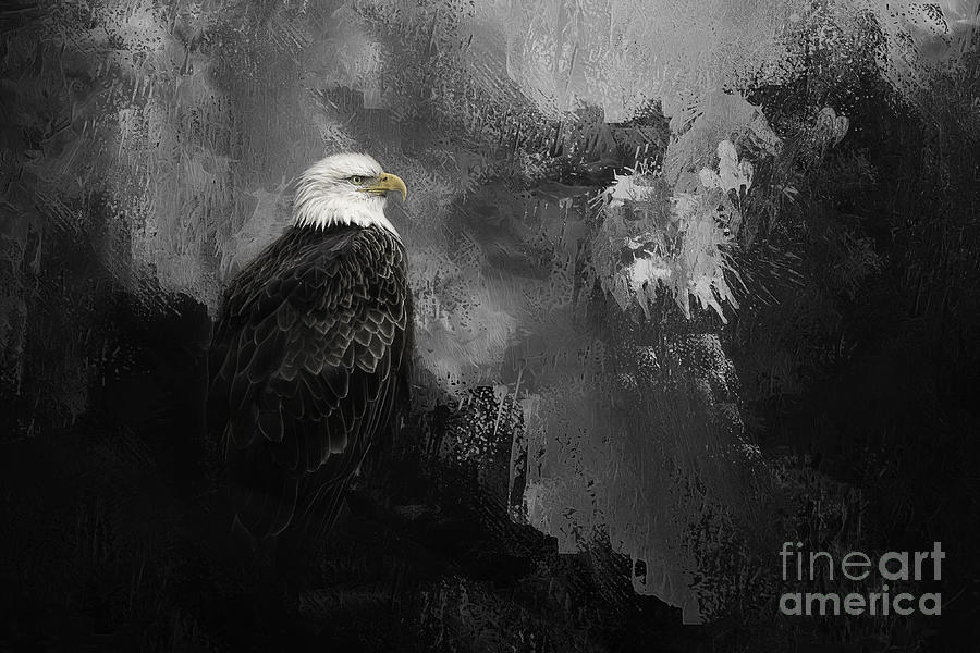 Bird Photograph - The Eagles Web by Cindy McDonald