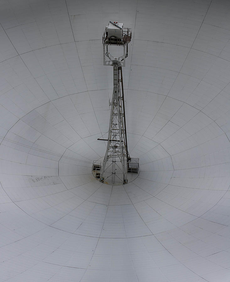 The Ear of the Telescope Photograph by Leah Palmer