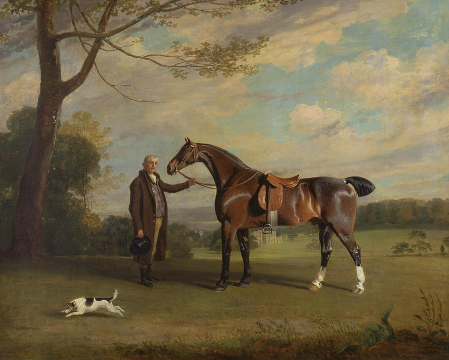 The Earl of Shrewsburys Groom Holding a Hunter Painting by Henry Bernard Chalon