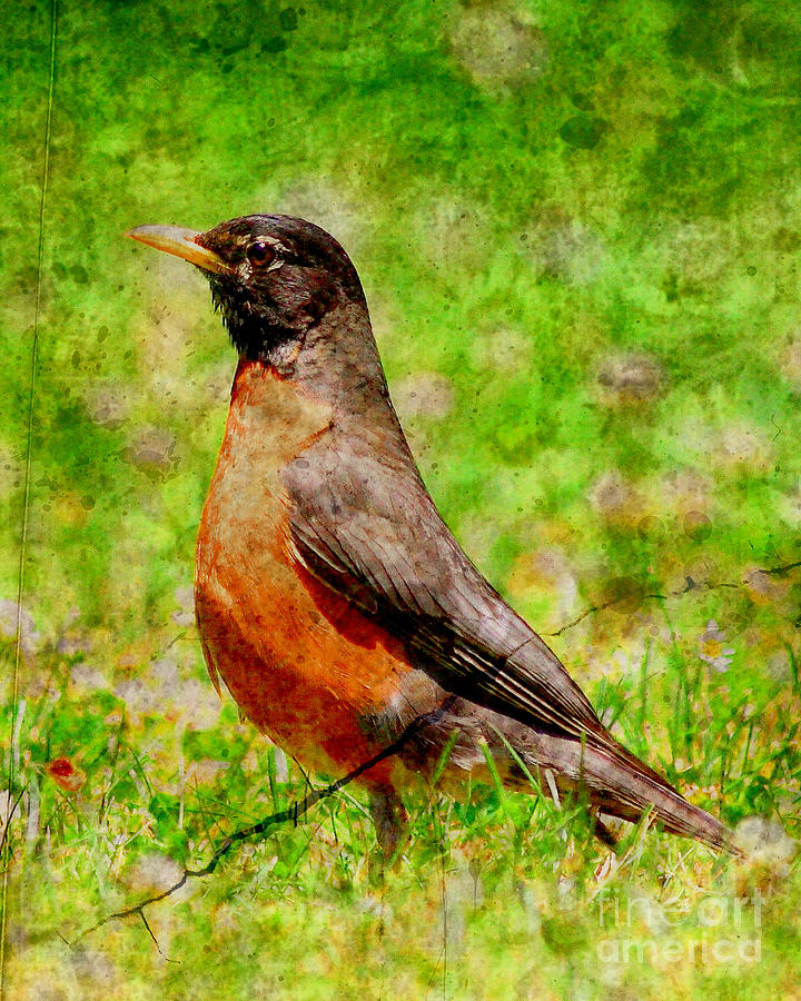 The Early Bird . texture . vertical Photograph by Wingsdomain Art and Photography
