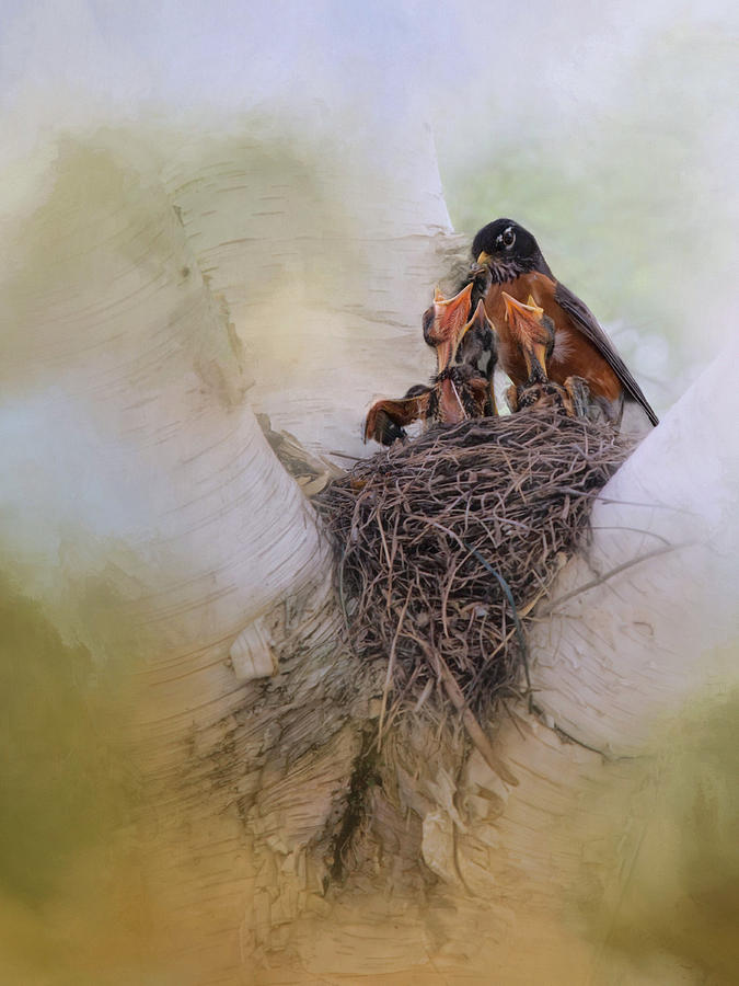 The Early Birds Photograph by Robin-Lee Vieira