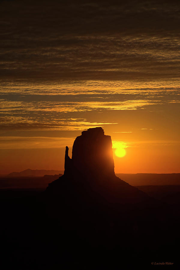Desert Photograph - The Earth Awakes by Lucinda Walter