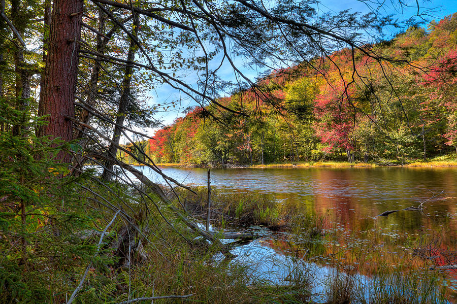 The North End of Bald Mountain Pond Photograph by David Patterson
