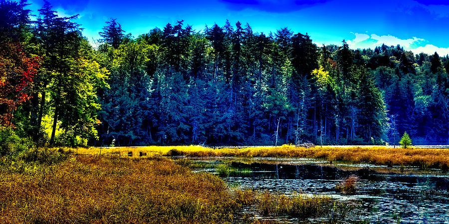 The East Shore of Cary Lake Photograph by David Patterson