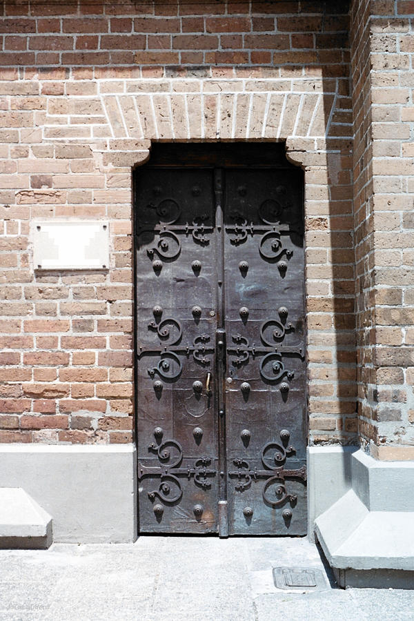 The East Side Door Of The Cathedral Photograph by David Cardona
