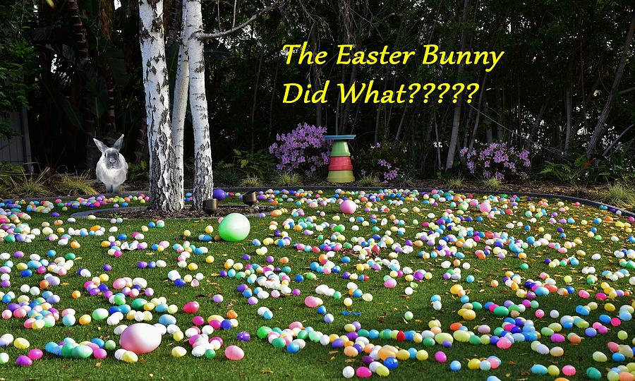 The Easter Bunny Did What Photograph by Linda Brody